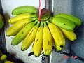 banana_s.gif