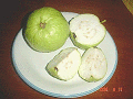 guava-01_s.gif