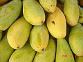 mango02_s.gif