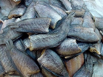 pasalit